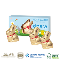 Lindt Personalised Easter bunnies box